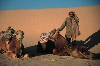 Camels and driver in desert near Douz, Tunisia