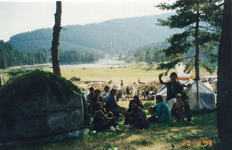 Gypsy camp in the mountains, collecting summer mushrooms and berries