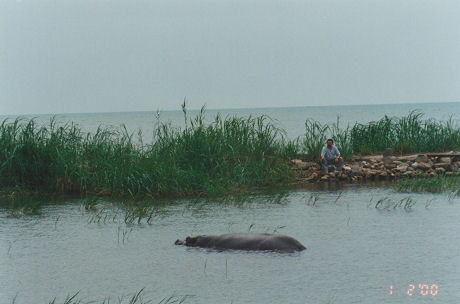 Hippo lies relaxed while a fisherman fishes around the edge of Lake Tanganyika