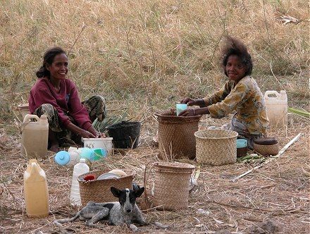 Women preparing lunch for the men harvesting rice in the fields