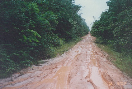 Deep muddy road with nowhere to go