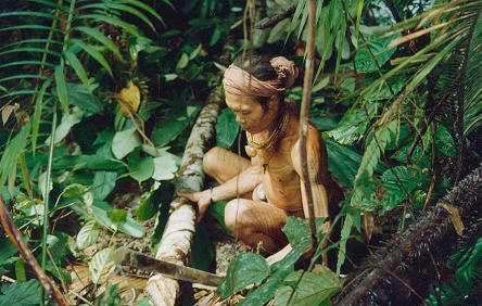 Native of Siberut Island cutting bark for a lap lap (shorts)
