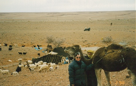 Berber camp with sheep and camel hair tents