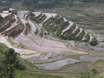 The rice terraces of Banaue, from the top, on our walk