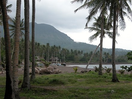 Coconut palms and volcanic mountains on Camaguin