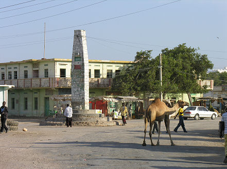 Camels wander the main roundabout in Berbera and goats sit on the monument