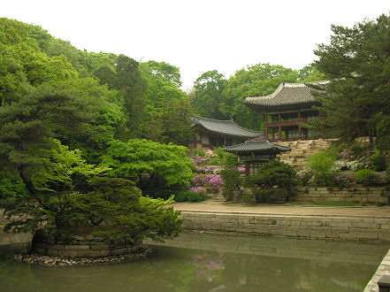 Secret Garden, part of the 40 hectare Changdeokgung Palace