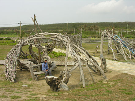 Driftwood sculpture at a seaside park