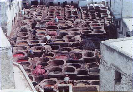 The leather dying vats of Fez.