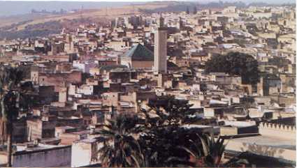 photo of the old city of Fez. Of all the medinas (old walled cities) in Morocco, this one was the best.