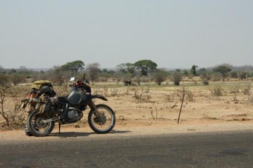 Elephants on the side of the road in Zambia.