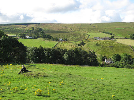 The green hills of Cumbria, on Helen's field