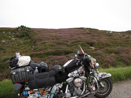 The heather was still in flower most places