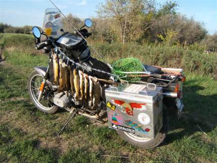 My reward for successfully surviving the jungles and crazy drivers of SE Asia for the winter was a perfect day of fishing and riding in Montana.