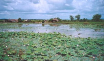 An idyllic Cambodia village.