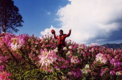 I am saying, "OK, I won't whisper where this is to the clouds, flowers, nor into the wind."