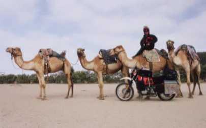 Camel riding