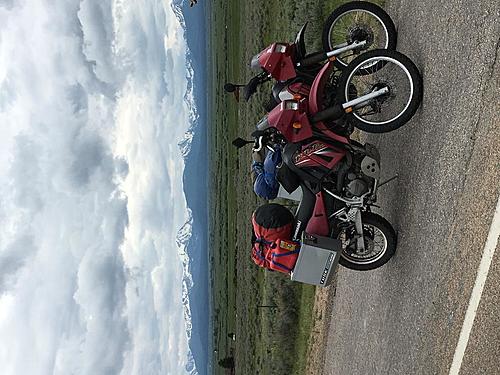 2 KLR650 for sale in Anchorage mid July k for both-8fd2163a-a262-48c2-8293-228e13be2f34.jpg