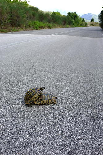 Serbia-Romania advice needed-quiet_roads_in_greece.jpg