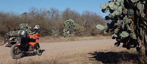 Africa.......and not planned too well!-road-near-salta.jpg