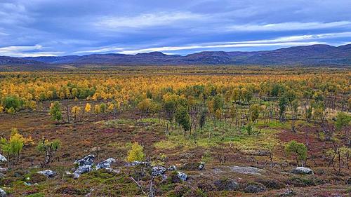 Travels around the Arctic Circle (10.000 km in Scandinavia, 2022-5azd9erl_h.jpg