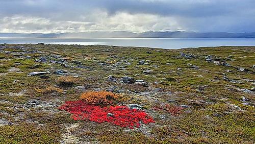 Travels around the Arctic Circle (10.000 km in Scandinavia, 2022-llcyem4g_h.jpg