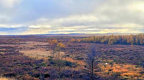 Travels around the Arctic Circle (10.000 km in Scandinavia, 2022-olr89sfq_h.jpg