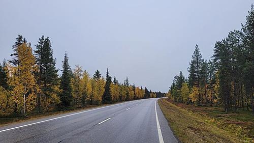 Travels around the Arctic Circle (10.000 km in Scandinavia, 2022-pfd27k23_h.jpg