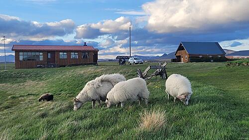 Travels around the Arctic Circle II: Iceland-zy6e3600_h.jpg