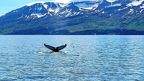 Travels around the Arctic Circle II: Iceland-86j50lms_h.jpg