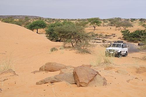 Security in Mauri/Mali/BF-nega1_600.jpg