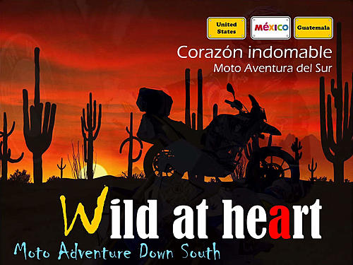 Kickstart your engines and ride through Mexico-wild-at-heart-title.jpg