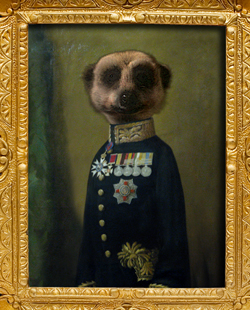 Name:  AleksandrOrlovmeerkat.jpg
Views: 155
Size:  136.9 KB