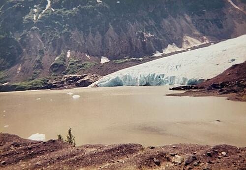 The Bear Glacier-bear1.jpg