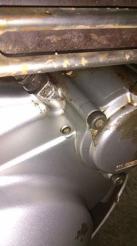 tt600re oil leak-imag0574-1-.jpg