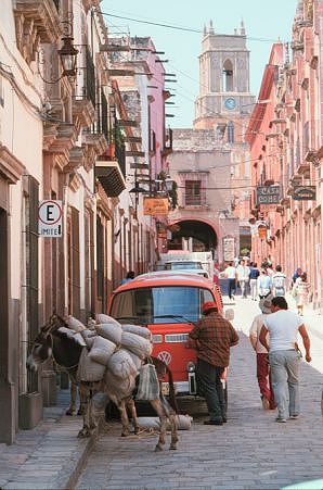 Donkeys in No Parking spot, Guanajuato Mexico