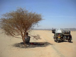 Mullie and Nobile, sidecar in the desert